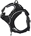 Chai's Choice Best Outdoor Adventure Dog Harness (Medium, Black)