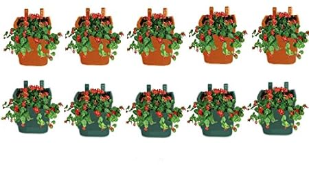 Minerva Naturals Vertical Pot Multi Color ( Set Of 10) Green & Brown