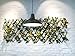 GoodBulb Compact Fluorescent Bulb - 23 Watt & 120 Volt - Spiral Shaped Bulb - Feature Full Spectrum Brightness - Long Lasting Coil Light Bulb - Ideal for Commercial & Residential Applications - White
