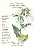 Nicotiana Seeds Indian Peace Pipe Heirloom Seeds 300 Seeds