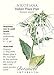 Nicotiana Seeds Indian Peace Pipe Heirloom Seeds 300 Seeds