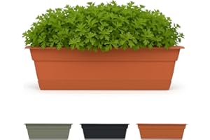 Bloem Living DCBT24-46 Dura Cotta Plant Window Box, 24-Inch, Terra Cotta