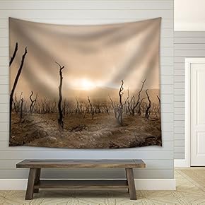Wasteland with Foggy Sky - Fabric Wall Tapestry Home Decor - 51x60 inches