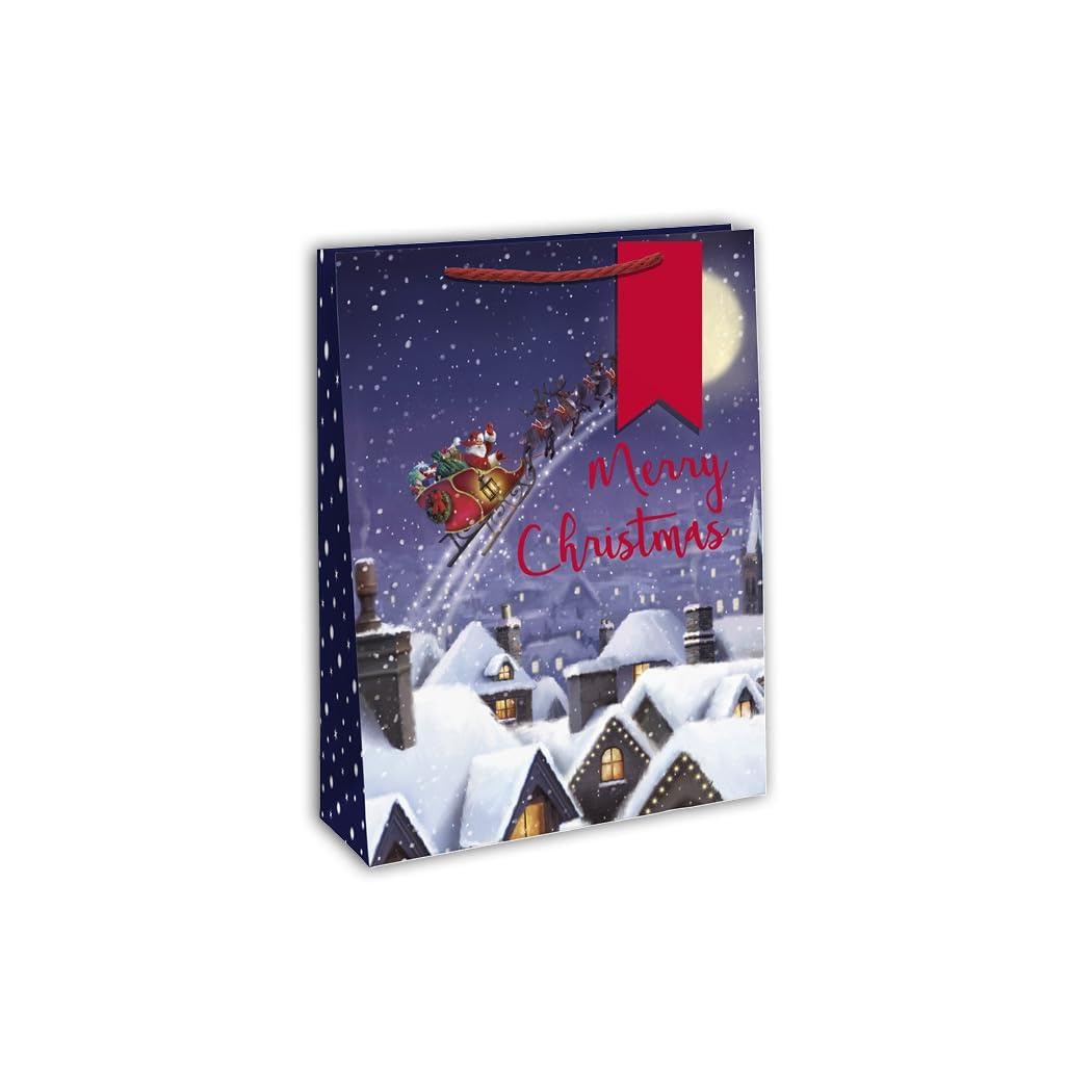 Clairefontaine X-29160-2Cpack - A Set of 12 Excellia Gift Bags- Large size - 26,5x14x33 cm - 210g - Design : Santa, Sleigh, Christmas - Ideal for Games, Puzzles