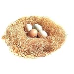 Bwogue 100g/3.5oz Natural Grass Nesting Pads for Chicken Hens Birds Nest Bedding