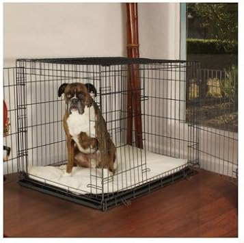 petco 42 inch dog crate
