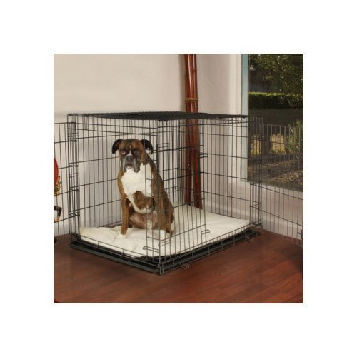 Petco Premium 2Door Dog Crate, 48" L x 30"W x 32"H, XX