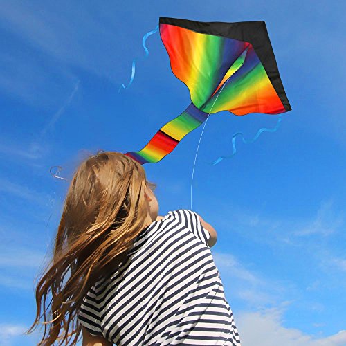 Top 10 Best Kites For Adults Top Reviews No Place Called Home