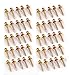 Hangman Double-Headed Bear Claw Hangers - 4-in-1 Hooks for D-Rings, Wire, Sawtooths & Keyholes: BCK-50 primary