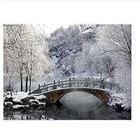 Adult Puzzles 1000 Pieces DIY Winter Snow Scene Wooden Puzzles Children and Elderly Puzzles Modern Home Decor Wall Art Unique Gift