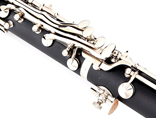 Glory Black/Silver keys E Flat Alto Saxophone with 11reeds,8 Pads cushions,case,carekit-More Colors with Silver or Gold keys : GLORY Engraved Flower High Grade Antique Finish Series
