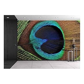 Beautiful Peacock Feather, Close Up, Micro Shot - Removable Wall Mural | Self-Adhesive Large Wallpaper - 66x96 inches