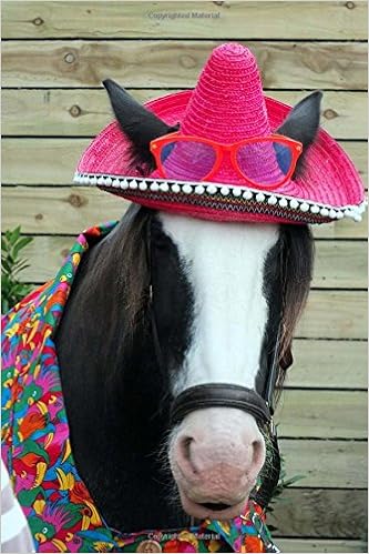 A Charming Horse in a Cute Pink Hat 