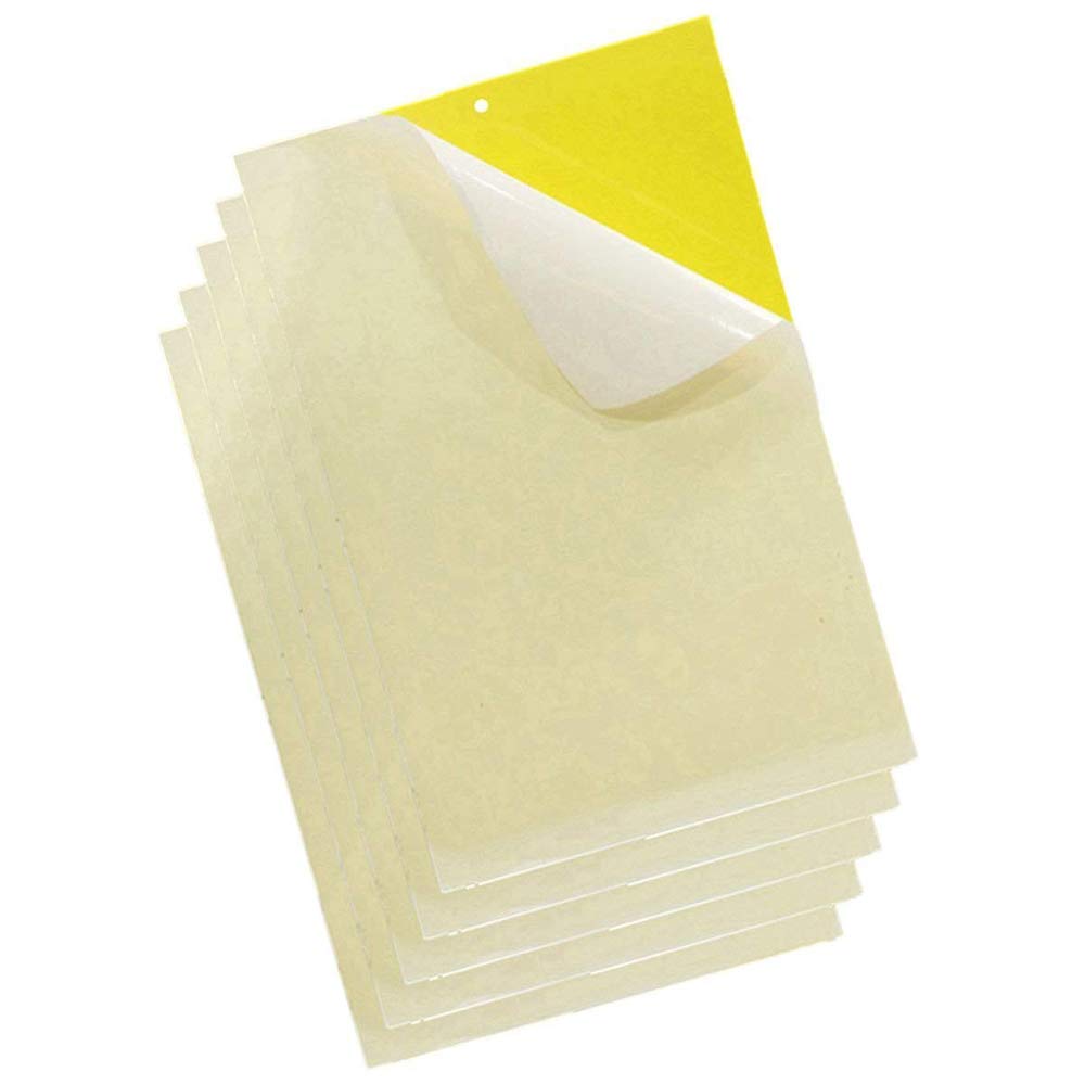 Amasawa 20 Pack (25cmX20cm) Double-Sided Fly Traps, Plant Flycatchers, Yellow Sticky Trap