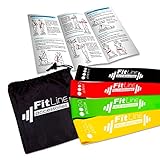 Resistance Loop Bands Set Of 4 - Exercise Workout CrossFit Fitness Yoga Mobility Strength - Free Carry Case - 4 Levels Of Resistance - 100% Natural Latex - Free eBook - FitLine Accessories