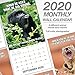 2020 Animal Memes Wall Calendar (LME3101020)