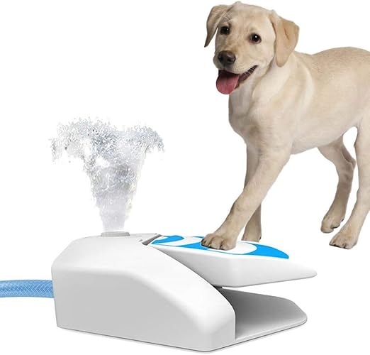 dog sprinkler toy