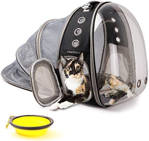 Cat Bubble Backpack