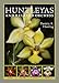 Huntleyas and Related Orchids by 