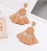 Beaded Tassel Earrings for Women Thread Fringe Drop Dangle Earrings Bohemia Statement Stud Earring(Brown)