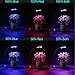 LED Grow Light, Timack 10W Desk Plant Grow Lamp Clip Blue/Red Adjustable 6 Levels Dimmable with 360° Flexible Gooseneck for Office, Home, Indoor Plants Hydroponic Garden Greenhouse Organic