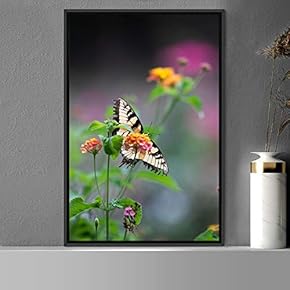 signwin Framed Canvas Wall Art Butterfly Expressive Farmhouse/Country...