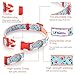 UFBemo Personalized Collar Soft & Comfy Pattern Padded Dog Collar, Matching Leash & Harness Available Separately for Pet Collars with Decorationthumb 1