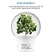 TORCHSTAR A19 LED Light Bulbs 60W Equivalent, UL Listed, 3000K Warm White, Dimmable, 9W, 800lm, Flicker Free, E26 Standard Base LED Bulb for Ceiling Fan, Lamp, 15,000hrs, Pack of 6