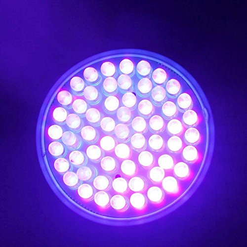 Enjoydeal Ultra Bright E27 UV Ultraviolet 60-LEDs Lamp Bulb 110V, Purple Red Color Light for Landscape Grow - Thumbnail 2