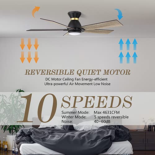 Smart Wifi LED Ceiling Fan in Indoor/Outdoor, 52inch Plywood smart