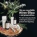 Annmarie Restore Travel Kit - Anti-Aging/Dry Skin Care