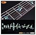 Fret Markers for Guitar & Bass Inlay Sticker Decals In Abalone Theme -Birds/MX