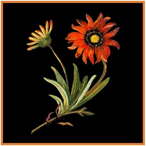 South African Daisy Flowers Mary Delany Counted Cross Stitch Pattern