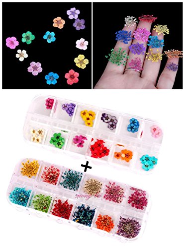 XICHEN Nail Art Accessories 12-color three-dimensional nail dry flowers 36 Starry + 36 five flower+36 Beauty cherry, Zou Ju with leaves