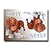 Dachshund Clean Dirty Dishwasher Magnet No 5