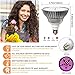 100W Led Grow Light Bulb, Led Plant Bulb Full Spectrum Grow Lights for Indoor Plants Vegetables and Seedlings, LED Plant Light Bulb for Hydroponics Indoor Garden Greenhouse and Organic Soil
