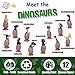LTCtoy 12 pcs Dino Figures | Baby Dinosaur Decoration with Tray | Realistic Dinosaur for Party, Display and Collection | Gift Box Including T-rex, Triceratops, Velociraptor, etc