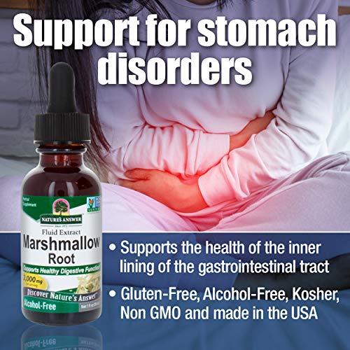 2 Natures+Answer+Alcohol+Free+Marshmallow+Extract