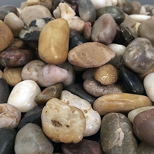 1buy Uk 1kg New Assorted Browns Natural Stones Pebbles Craft Table