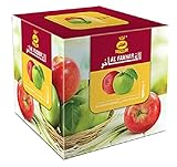 Al Fakher Hookah Shisha Flavors 250g - Non Tobacco (Double Apple(Two Apple))