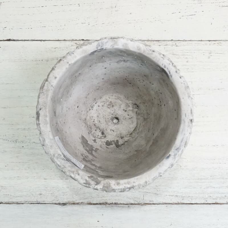 Flowerpot, Fashionable, Antique Ceramic Pot, Arabesque S  6.9 inches (17.5 cm), Hole No. 6, White, White, Conical, Plant Pattern, Pattern, Picture, Pattern, Shabby Pot, Gardening, Indoor, Covent
