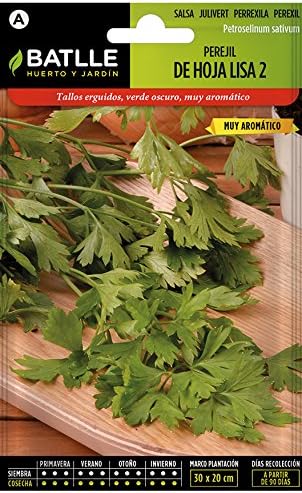 Semillas Hortícolas - Perejil de Hoja lisa 2 - Batlle: Amazon.es ...
