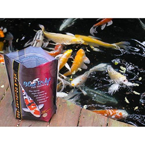 Blue Ridge Koi Winter Food Blue Ridge Mini Pellet Growth Formula