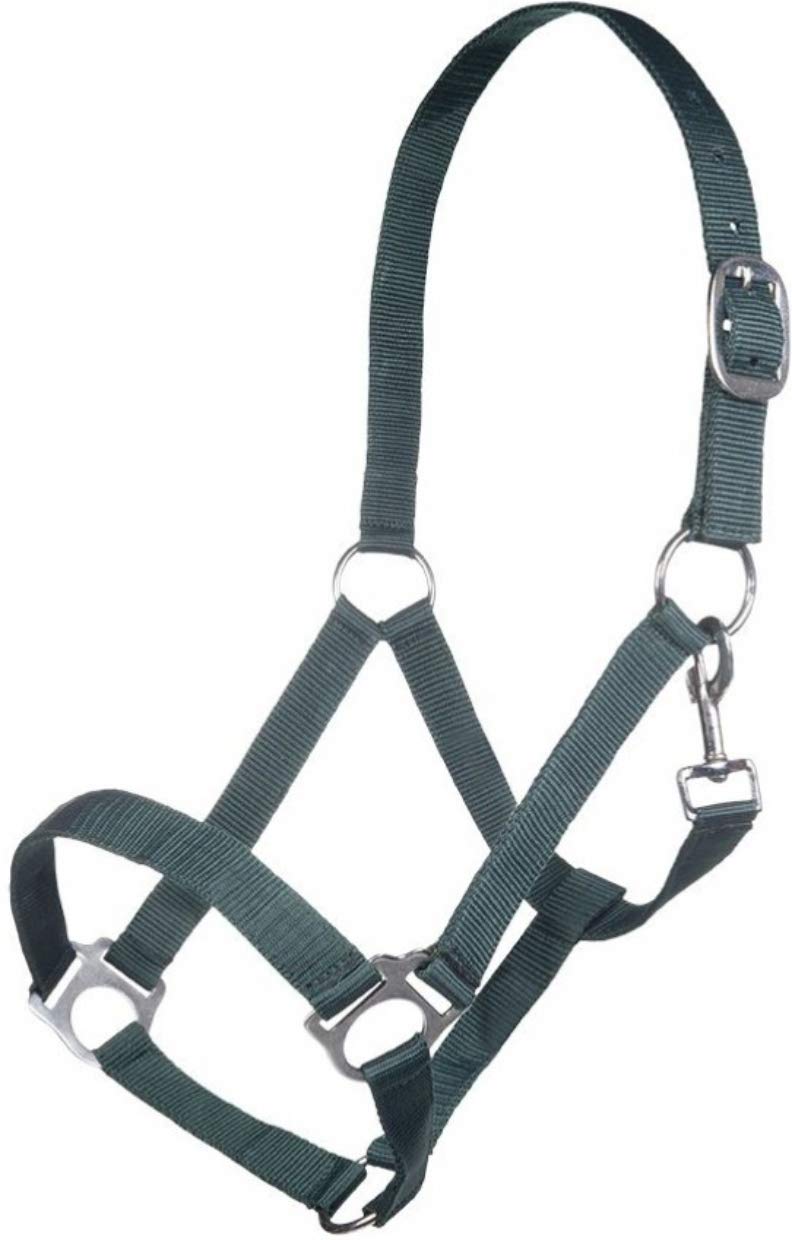 HKM Innsbruck Tack Halters Red Warmblut
