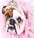 Hallmark Shoebox Funny Birthday Card for Her (Wine and Coffee), Bulldog in Tiara (0369RZF3008)