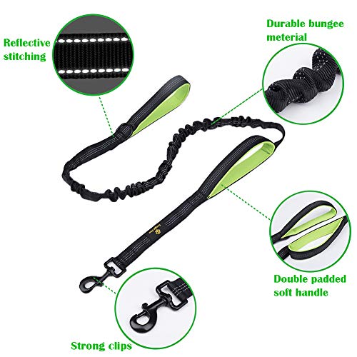 Dog Leash Bungee Double Handle,Shock Absorbing Reflective Elastic Bungee Lead Soft Double Padded