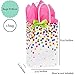 Birthday Gift Bags Rainbow Multicolor Assortment (Rainbow Assorted w Tissue, 3)