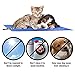 Pawaboo Pet Cooling Mat, 19.7 x 15.7 Inch Pressure Activated Self Cooling Cold Gel Mat Pad for Couches, Car Seats, Pet Beds & Kennels, Keeping Pets Dogs Cats Cool and Comfort, Blue