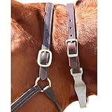 Intrepid International Leather Bit Keepers or Loops