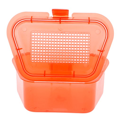 image for Aixia Worm Bait Box Fishing,Breathable Plastic Fishing Bait Storage Bo
